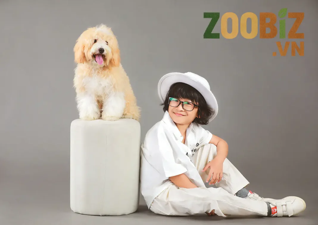 Trịnh Huy Khôi và tuổi thơ bình yên bên một người bạn bốn chân