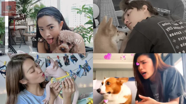 Ngoài đường làm sao hạng A, nhưng về nhà thì nghệ sĩ Việt cũng làm “con sen” cho các “boss cưng”