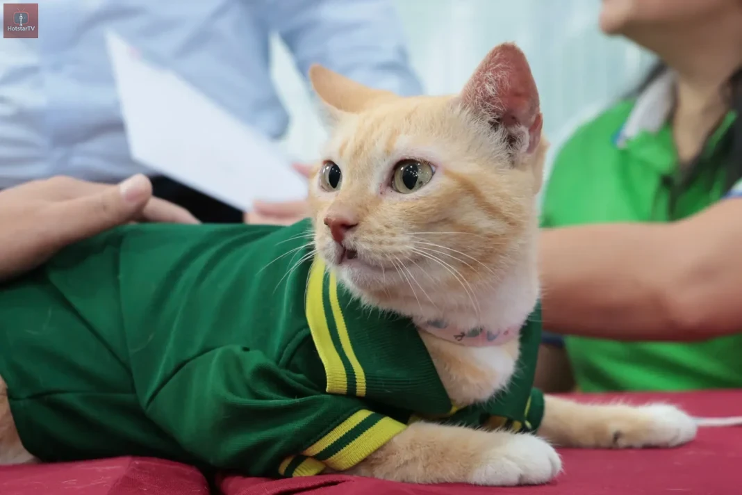 Cuối tuần này bạn có hẹn với Thảo Cầm Viên Sài Gòn