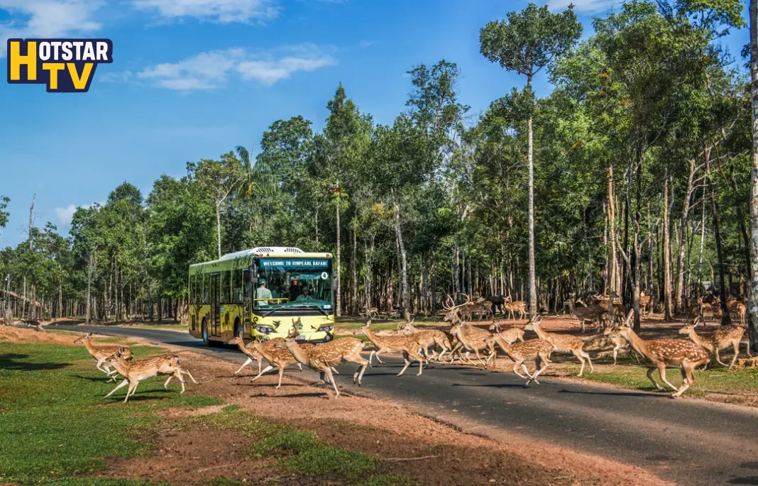 Nắm giữ “kỷ lục kép” thế giới – Vinpearl Safari Phú Quốc “khủng” cỡ nào?